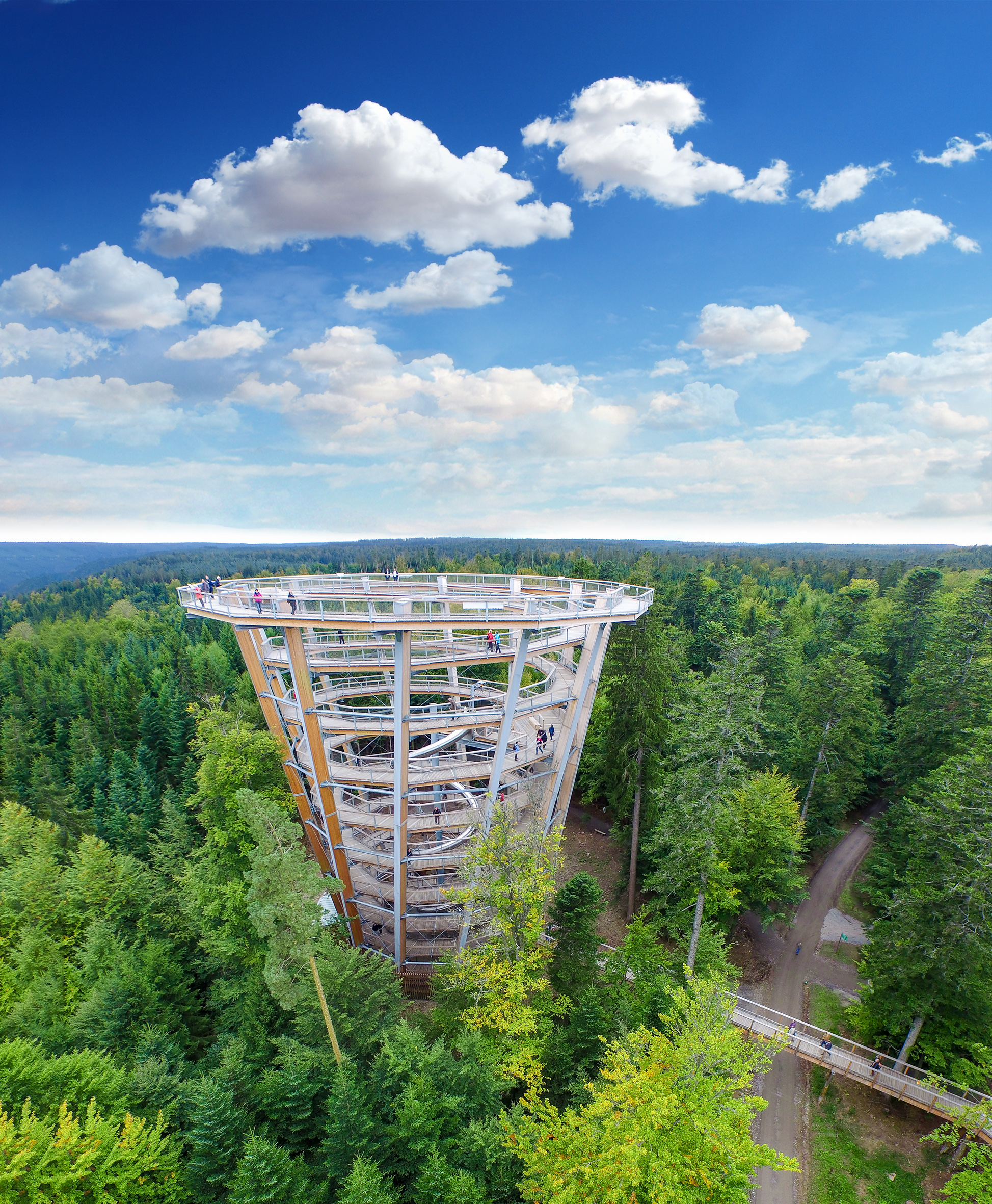 DER BAUMWIPFELPFAD Wie sieht der Wald von oben aus?