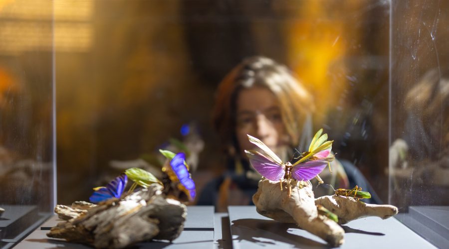 20241206_AMAZONIEN_PH_EÖ_Q1A9628_ANS_DL_DA Kopie