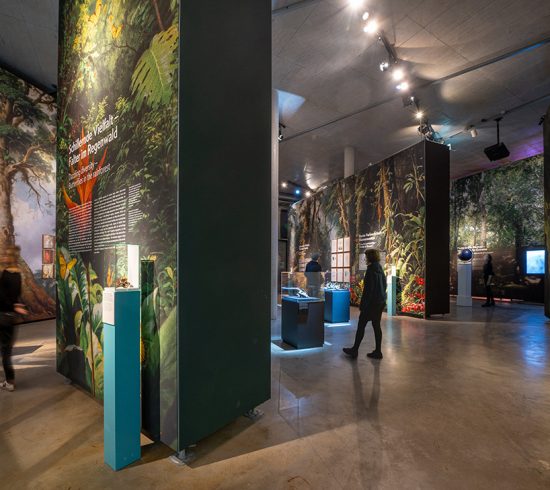 AMAZONIEN – Faszination tropischer Regenwald im Gasometer Pforzheim