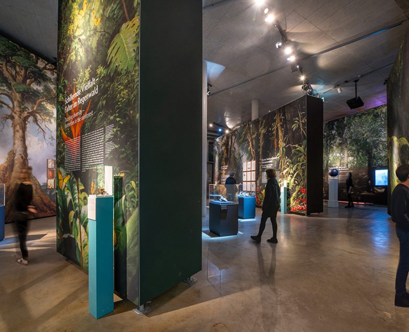 AMAZONIEN – Faszination tropischer Regenwald im Gasometer Pforzheim