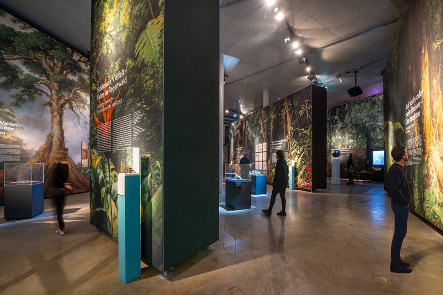 AMAZONIEN – Faszination tropischer Regenwald im Gasometer Pforzheim