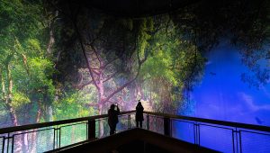 AMAZONIEN – Faszination tropischer Regenwald im Gasometer Pforzheim