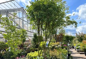 Gartencenter Streb