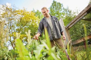 Wasser sparen im Garten