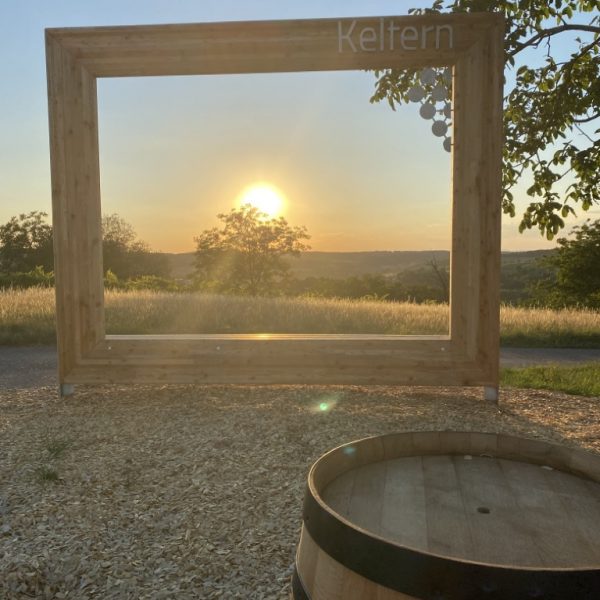 2022_05_Naturkino_IMG_8406