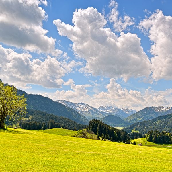 Frühling Natur_TVB Tannheimer Tal_Anna Meurer_DSC_2299