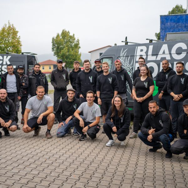 black-forest-solar-2