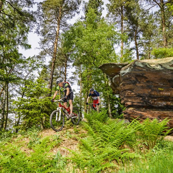 rf0418_bad_bergzabern_03
